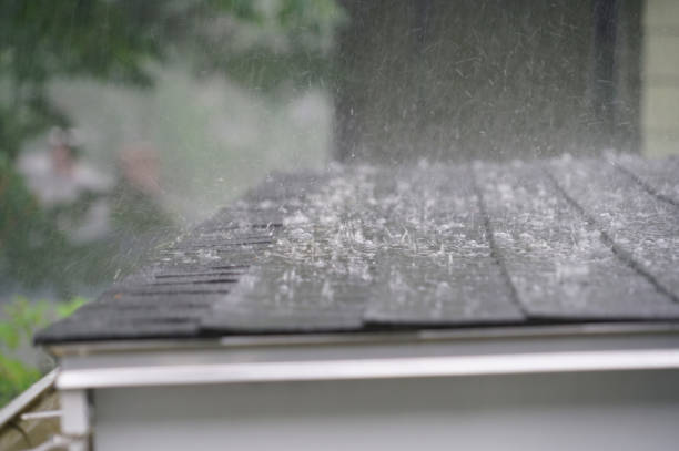 Best Roof Leak Repair  in Roseville, OH