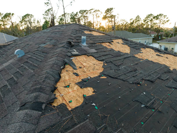 Best Hot Roofs  in Roseville, OH