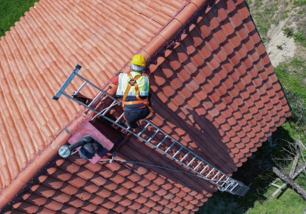 Best Skylight Installation and Repair  in Roseville, OH