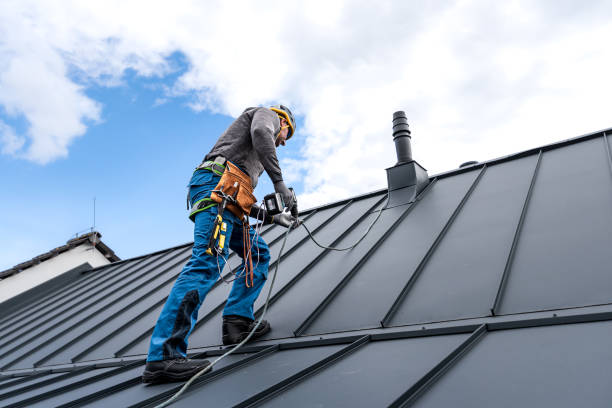 Best Solar Panel Roofing Installation  in Roseville, OH